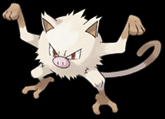 56. Mankey